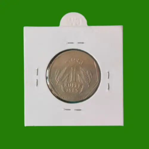 Republic India Coin